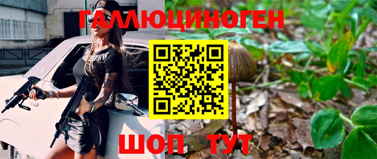 цена   Вход с VPN  Москва  Псилоцибиновые грибы Psilocybine cubensis  Псилоцибиновые грибы мицелий 